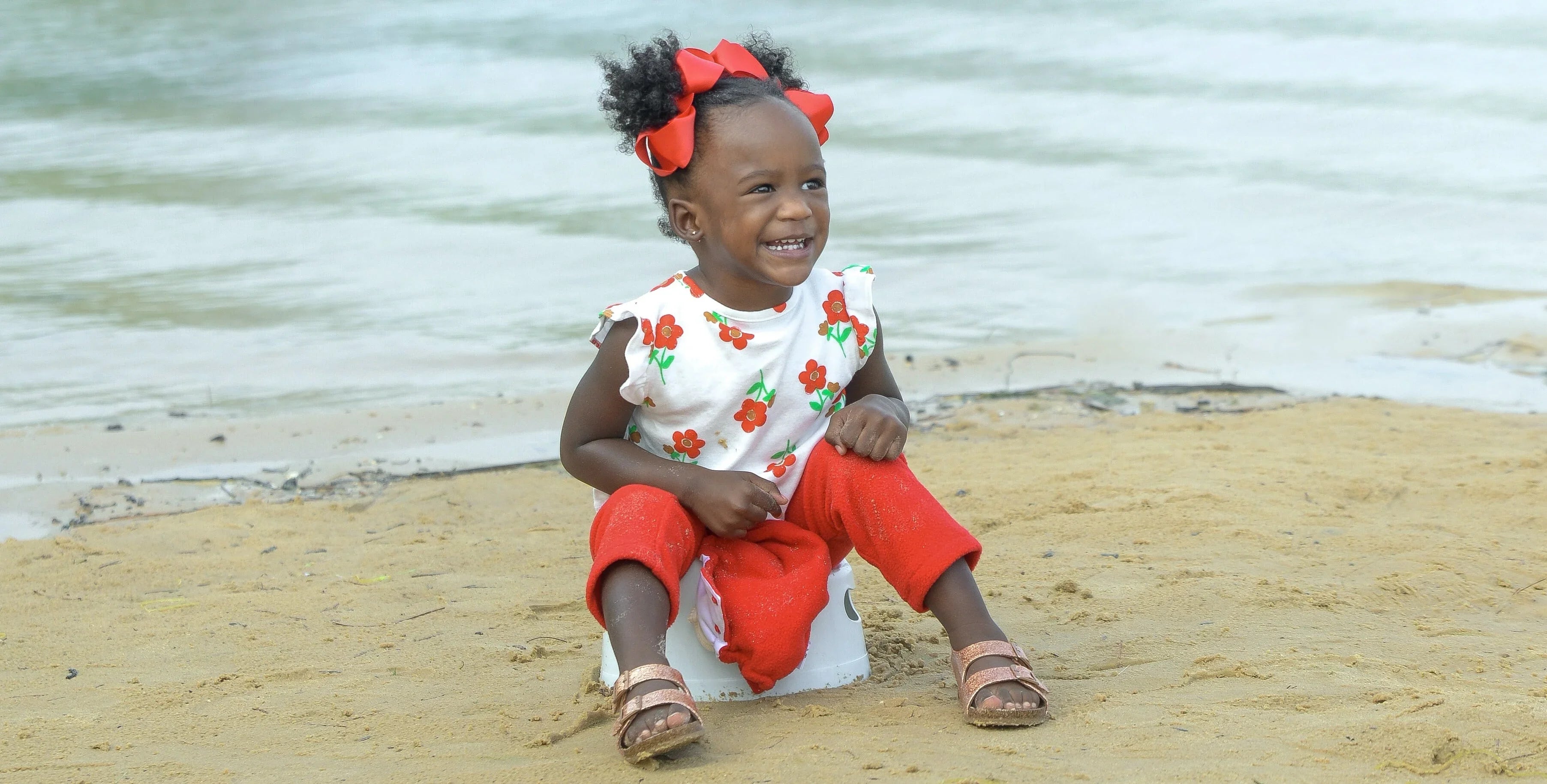 Disposable Diaper Companies are Lying to You