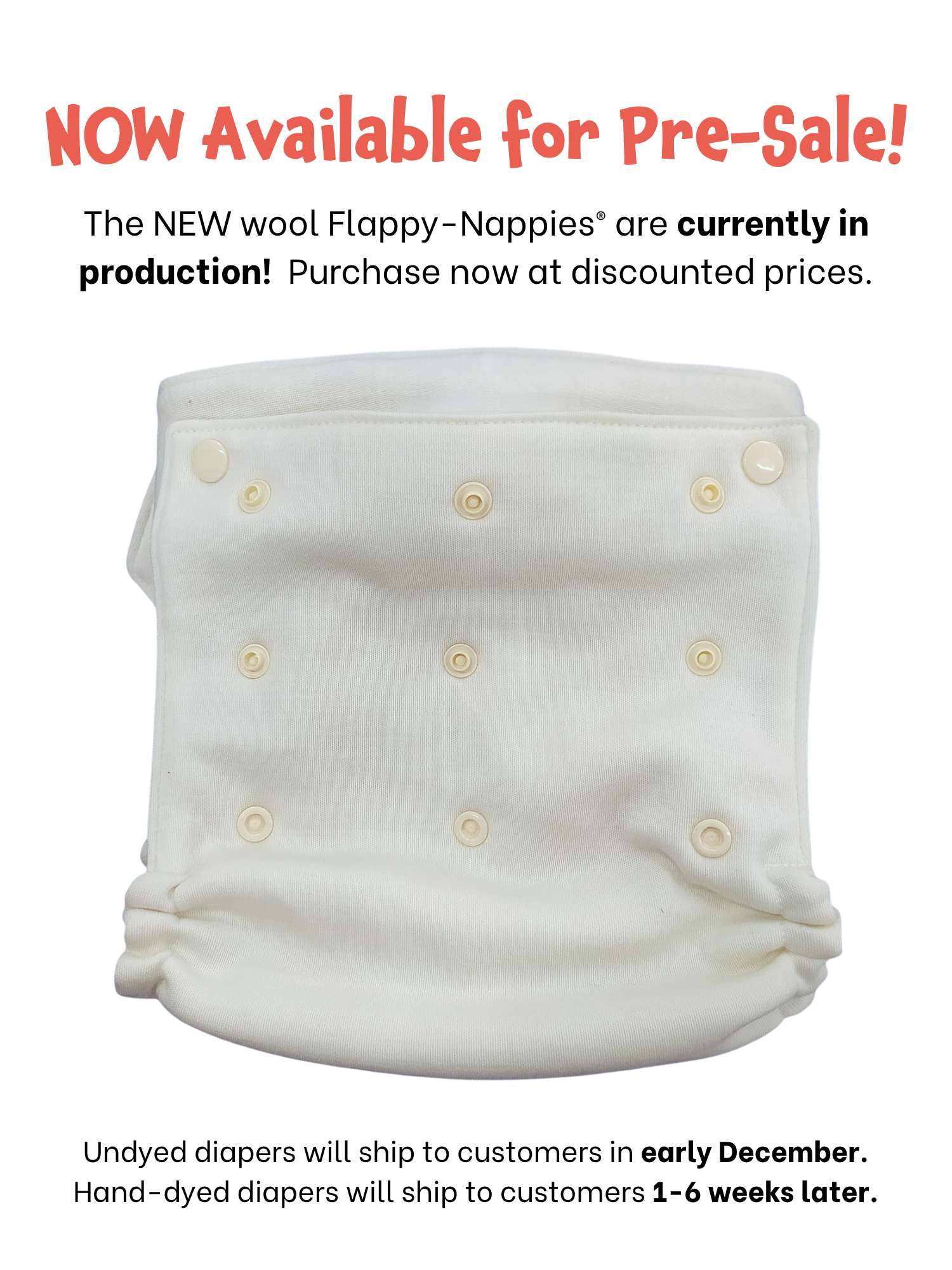 NEW! Adjustable Merino Wool Diaper Cover and Belt